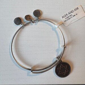 Alex and Ani Bangle Charm Bracelet